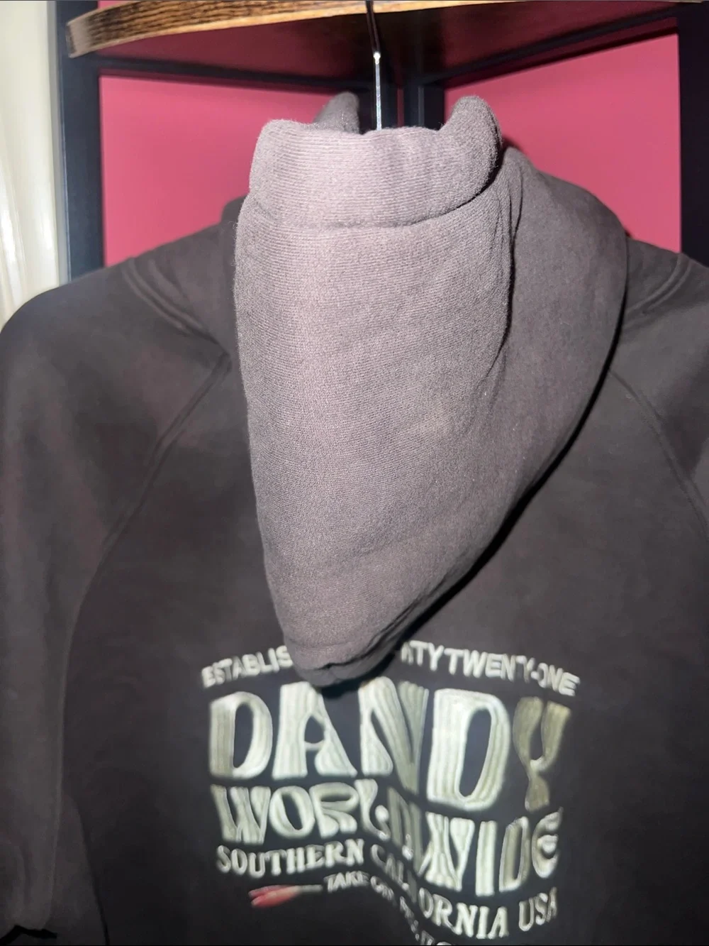 DANDY Worldwide Graphic Hoodie with Heart Sleeve - Picture 5 of 6